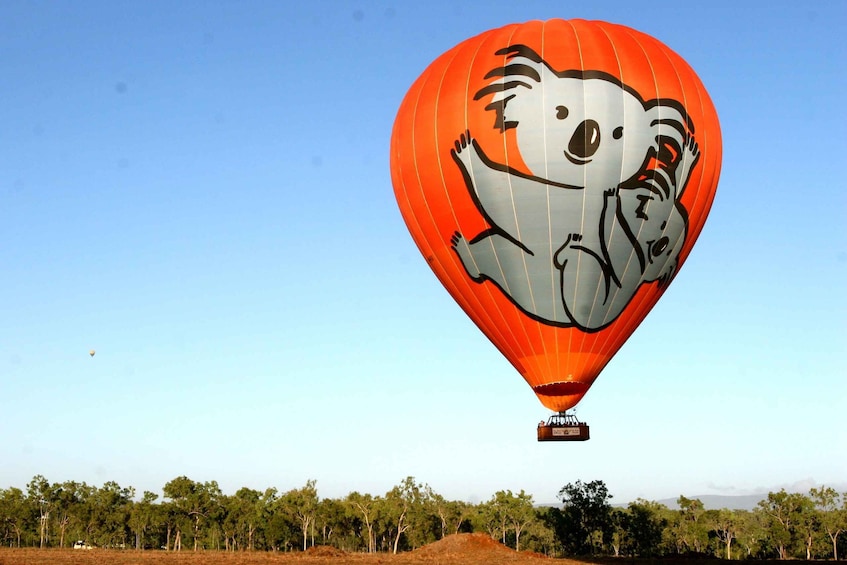 Picture 4 for Activity Cairns: Hot Air Balloon Flight with Transfers