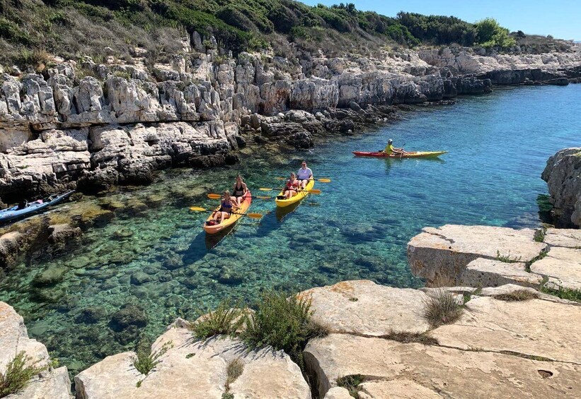 Picture 10 for Activity Premantura: Sea Cave Kayak Tour