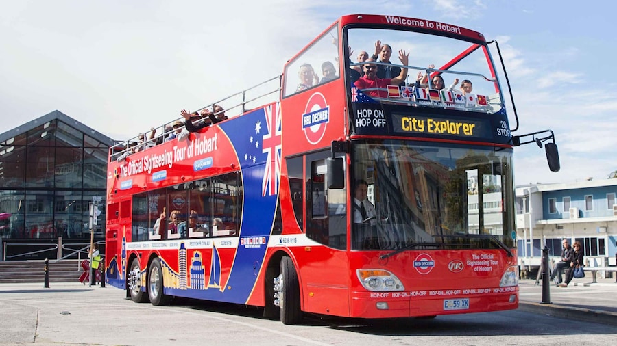 Hobart: 24-Hour Hop-on Hop-off Sightseeing Bus Ticket