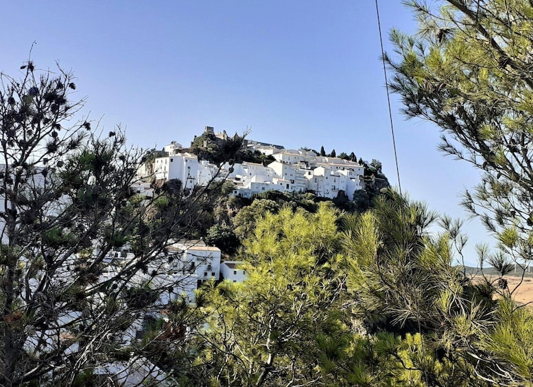 Picture 1 for Activity From Costa del Sol: Casares Private Tour