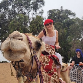 Agadir tai Taghazout: Camel Ride, Flamingo River Tour & Drink