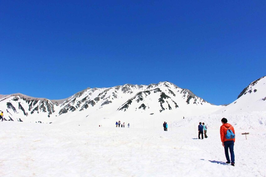 Picture 4 for Activity From Nagano: Tateyama-Kurobe Alpine Route