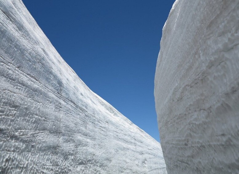 Picture 1 for Activity From Nagano: Tateyama-Kurobe Alpine Route