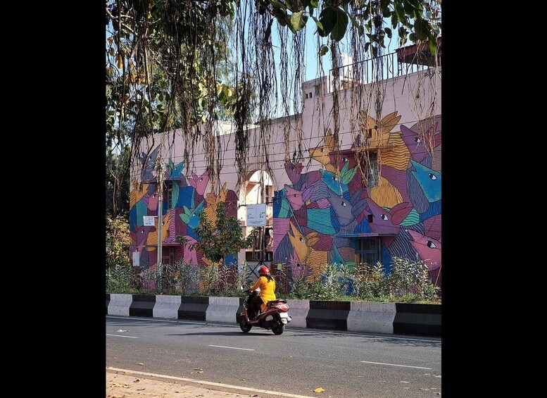 Picture 11 for Activity Delhi Street Art Tour: Explore the Murals & Visit a Stepwell