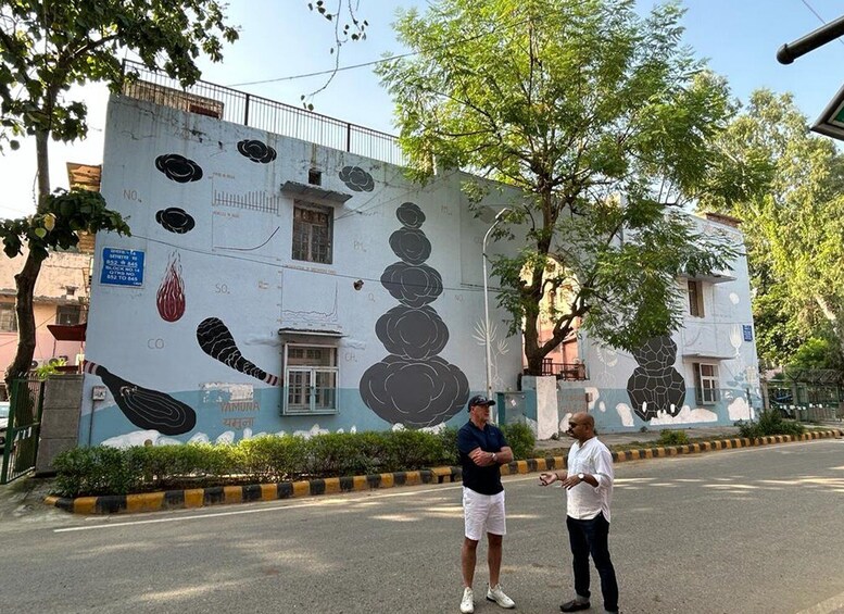 Picture 8 for Activity Delhi Street Art Tour: Explore the Murals & Visit a Stepwell