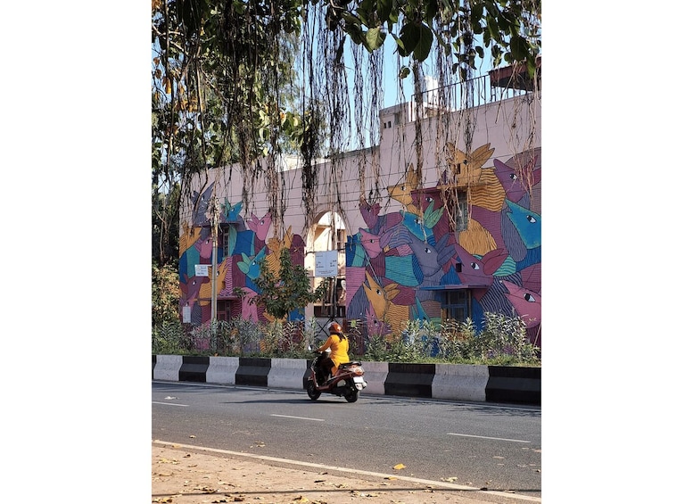 Picture 11 for Activity Delhi Street Art Tour: Explore the Murals & Visit a Stepwell