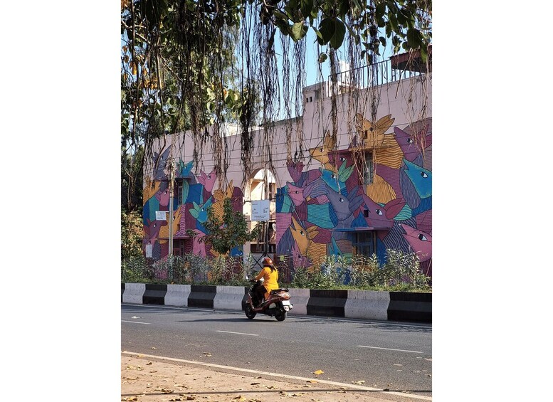Picture 11 for Activity Delhi Street Art Tour: Explore the Murals & Visit a Stepwell