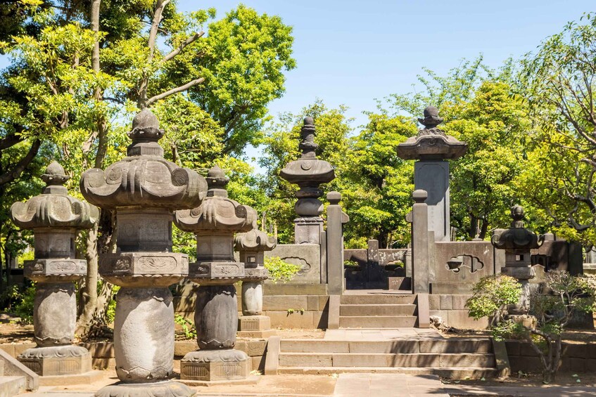 Picture 5 for Activity Old and Nostalgic Tokyo: Half-Day Yanaka Walking Tour