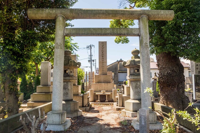 Picture 4 for Activity Old and Nostalgic Tokyo: Half-Day Yanaka Walking Tour