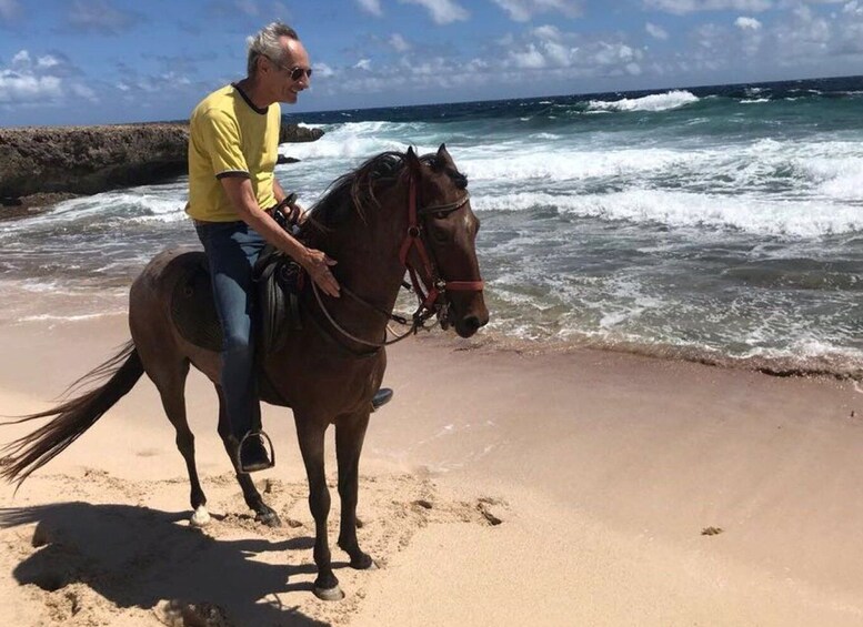 Picture 6 for Activity Aruba: 2,5 Hour Horseback Ride for Advanced Riders