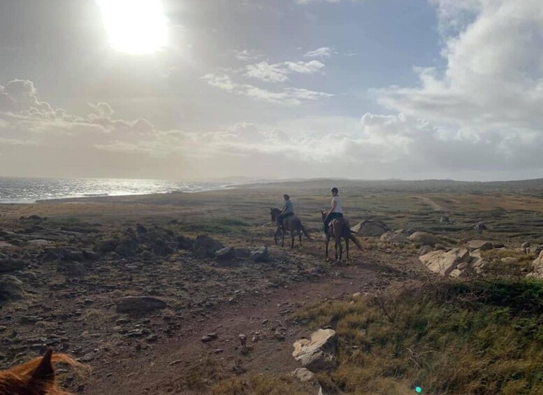 Picture 9 for Activity Aruba: 2,5 Hour Horseback Ride for Advanced Riders