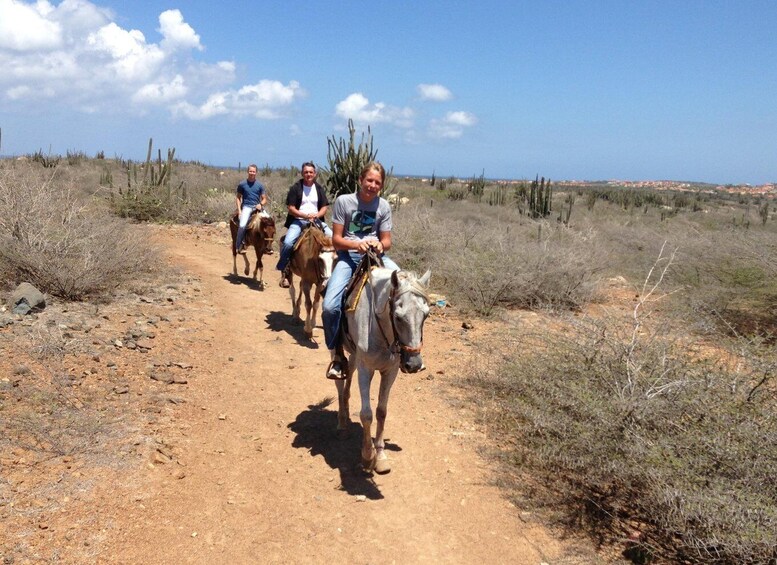 Aruba: 2,5 Hour Horseback Ride for Advanced Riders