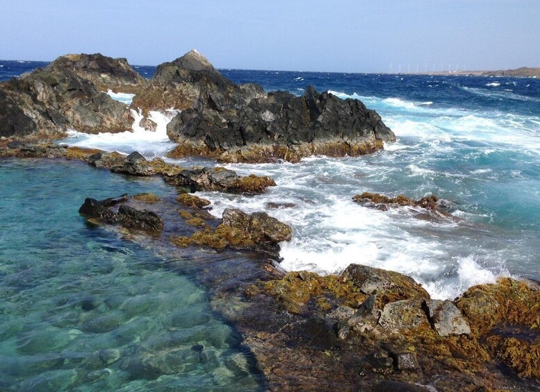 Picture 2 for Activity Aruba: 2,5 Hour Horseback Ride for Advanced Riders