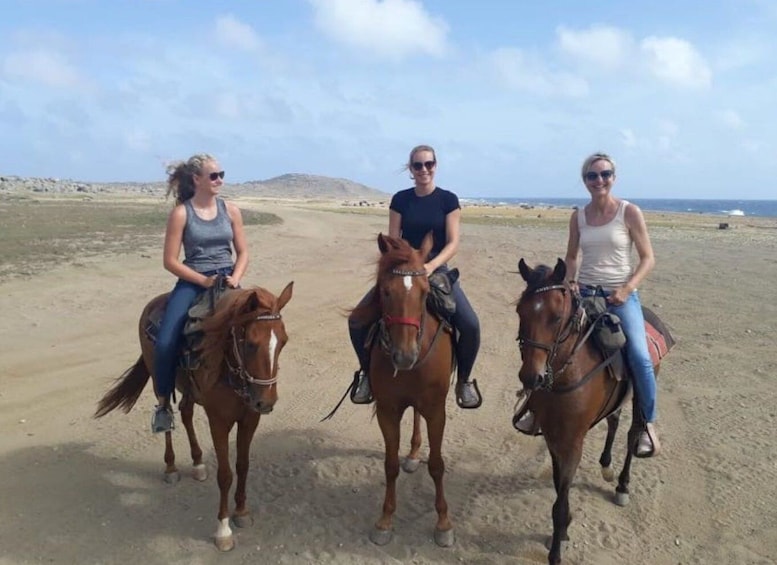 Picture 5 for Activity Aruba: 2,5 Hour Horseback Ride for Advanced Riders
