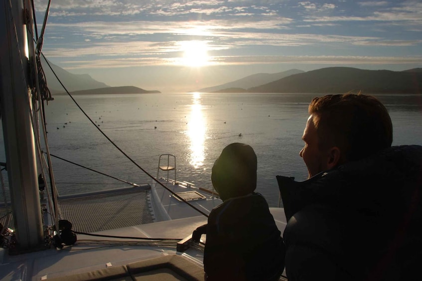 Picture 4 for Activity Tromsø: Fjord and Islands Luxury Catamaran Cruise