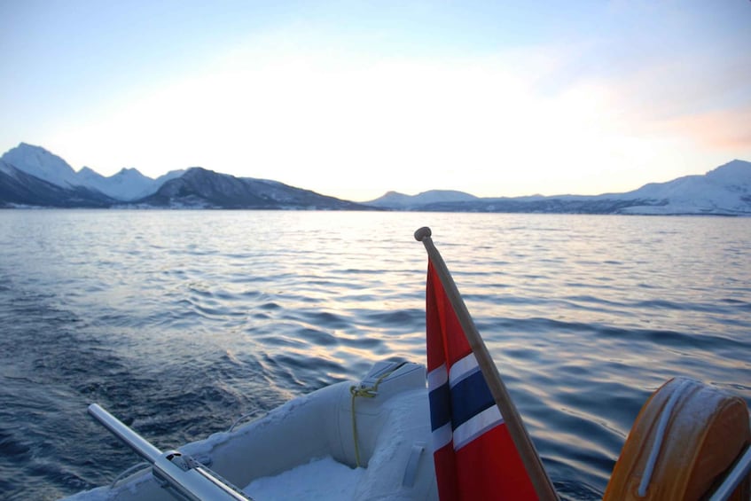 Picture 5 for Activity Tromsø: Fjord and Islands Luxury Catamaran Cruise