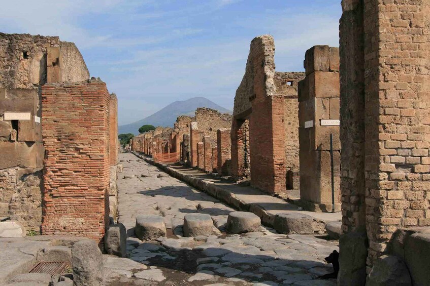 Picture 2 for Activity From Naples or Pompeii: Pompeii Skip-the-Line Entry and Tour