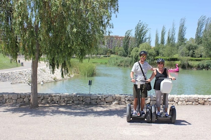 visit estadio mestalla Valencia: Turia & Cabecera Park Private Segway Tour
