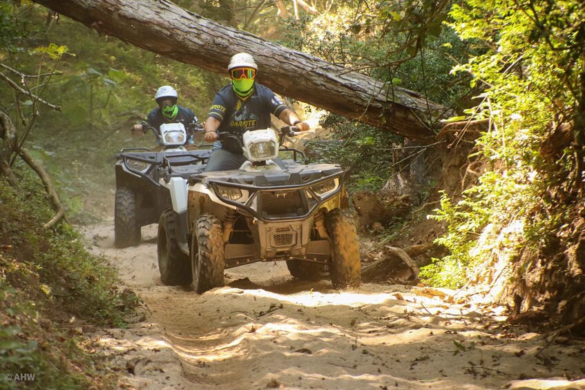 Picture 9 for Activity Double or Single Rider ATV Jungle Tour