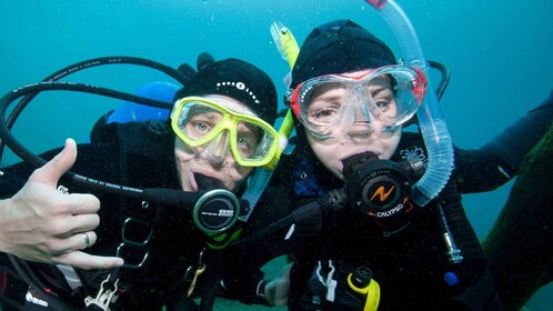 Lagos: Viaje guiado de buceo para principiantes