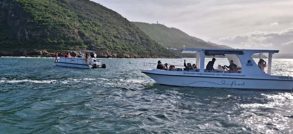 Picture 3 for Activity Knysna: 75-Minute Lagoon Boat Cruise