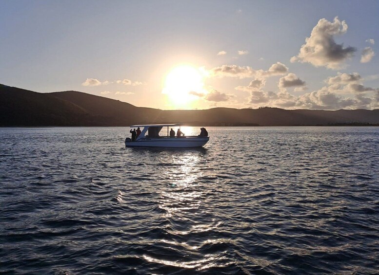 Picture 4 for Activity Knysna: 75-Minute Lagoon Boat Cruise