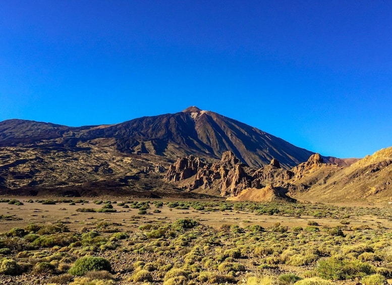 Picture 2 for Activity Tenerife: Mount Teide Nature and Wine Shore Excursion