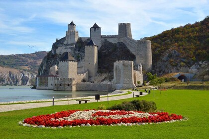 Från Belgrad: Historisk heldagstur till Donau