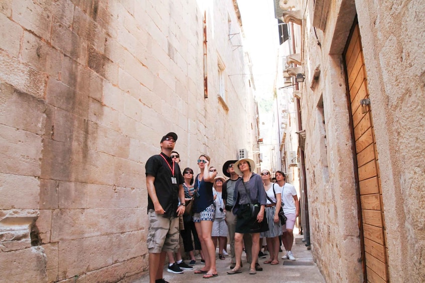 Picture 2 for Activity Dubrovnik: Old Town Walking Tour