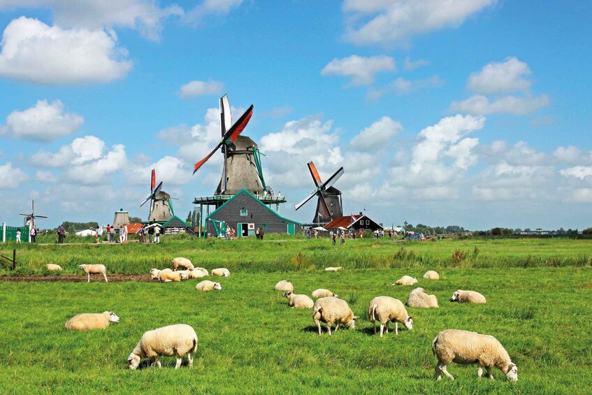 Picture 5 for Activity Zaanse Schans: Pancake Restaurant Visit