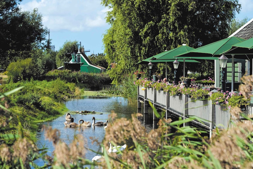 Picture 1 for Activity Zaanse Schans: Pancake Restaurant Visit