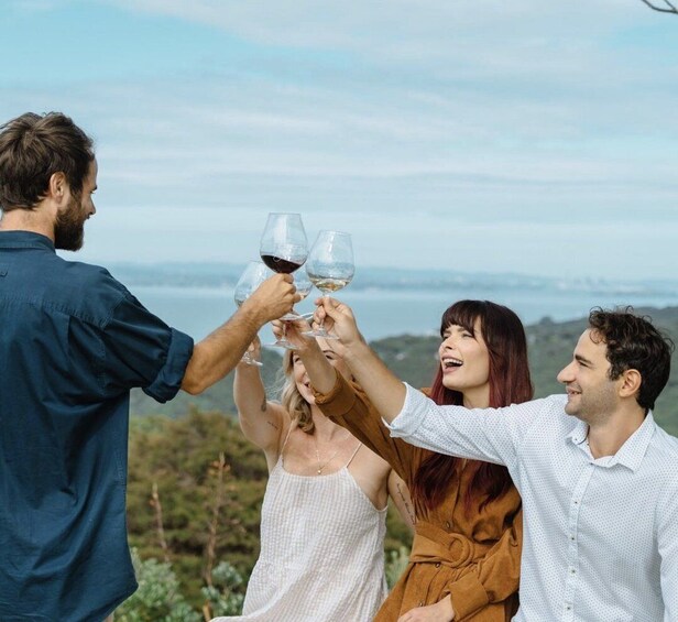 Picture 2 for Activity Waiheke Island: Scenic Wine Tour Tasting Wines on Waiheke