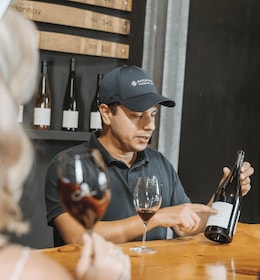 Waiheke Island: Scenic Island Wine Tour & Local Wine Tasting