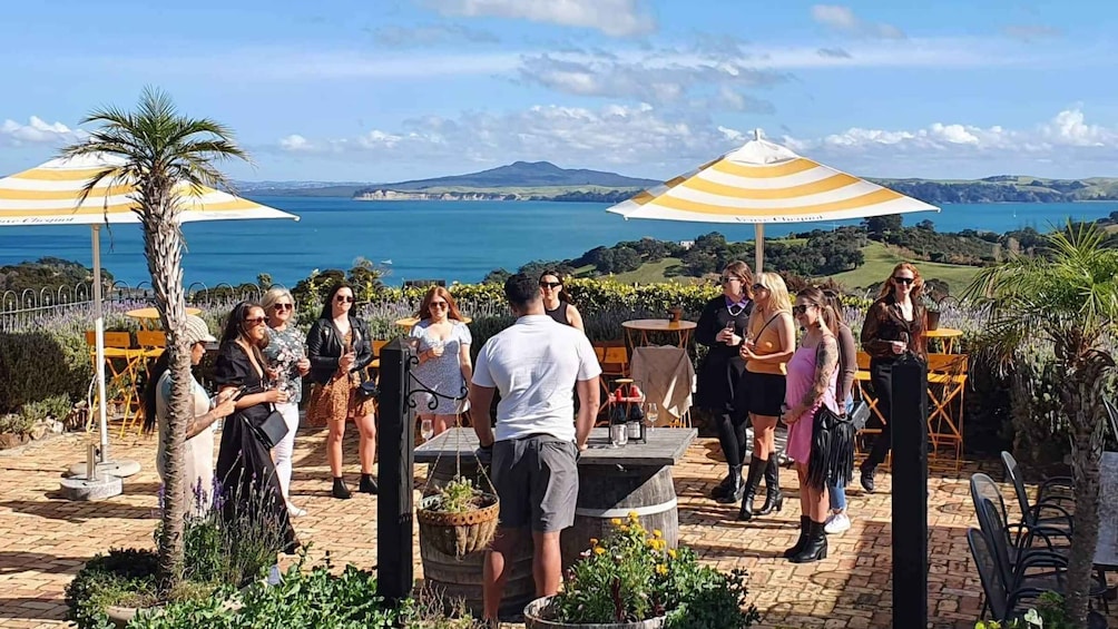 Picture 1 for Activity Waiheke Island: Shared 4 Vineyard Scenic Tour