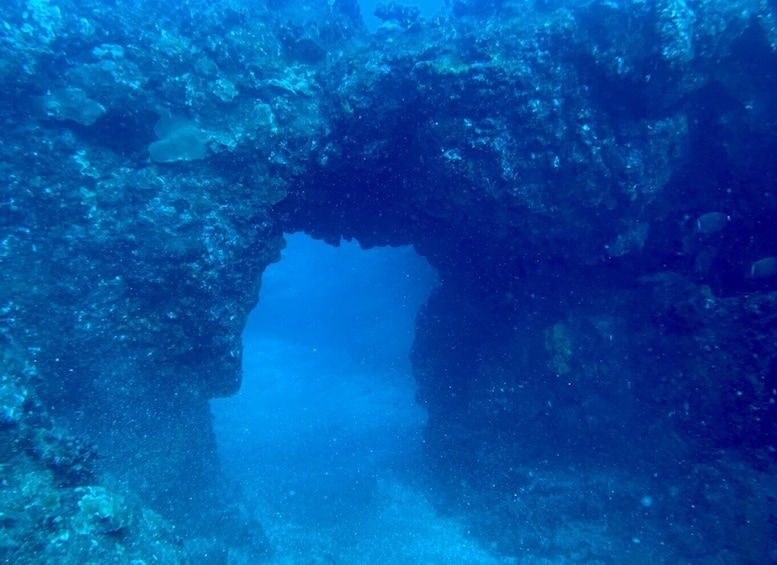 Picture 5 for Activity Hilo: Night Dive for Certified Divers