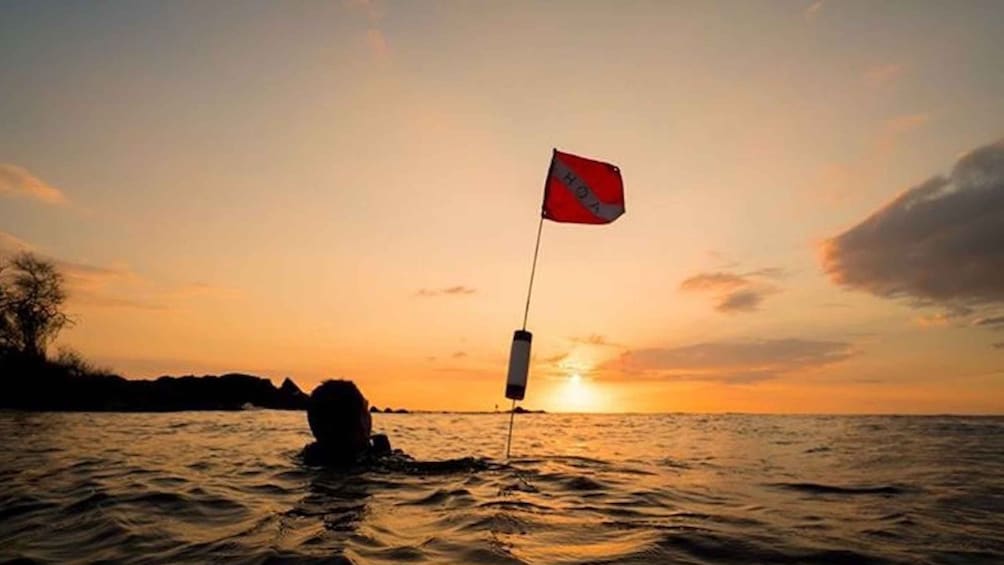 Picture 1 for Activity Hilo: Night Dive for Certified Divers