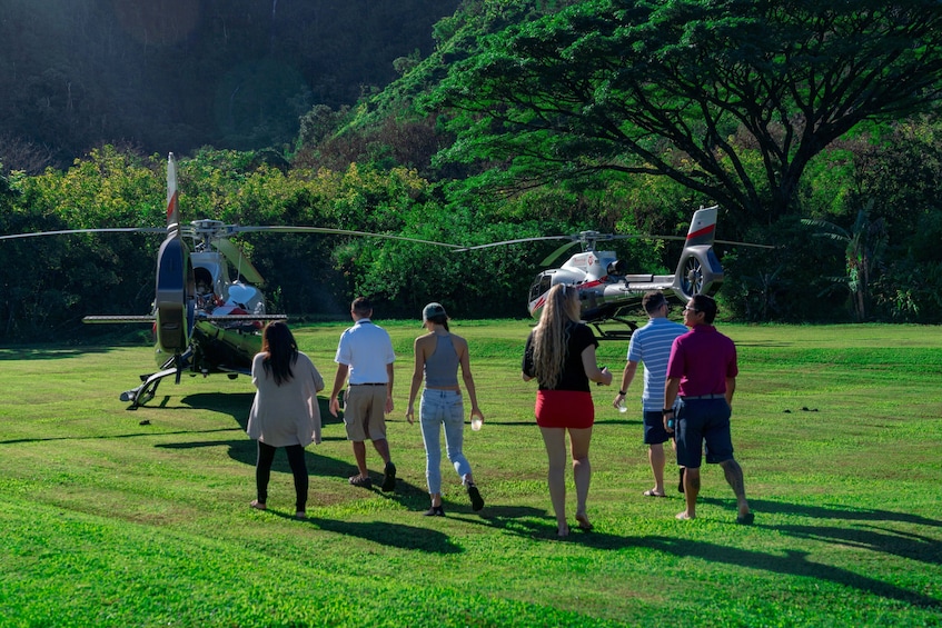 North Shore & Hana Rainforest Helicopter Tour with Taro Plantation Landing