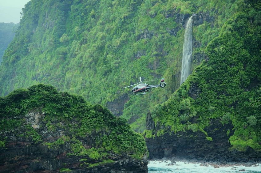 North Shore & Hana Rainforest Helicopter Tour with Taro Plantation Landing