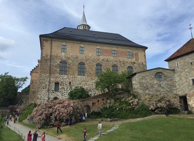 Picture 9 for Activity Oslo: Panoramic Sightseeing Tour