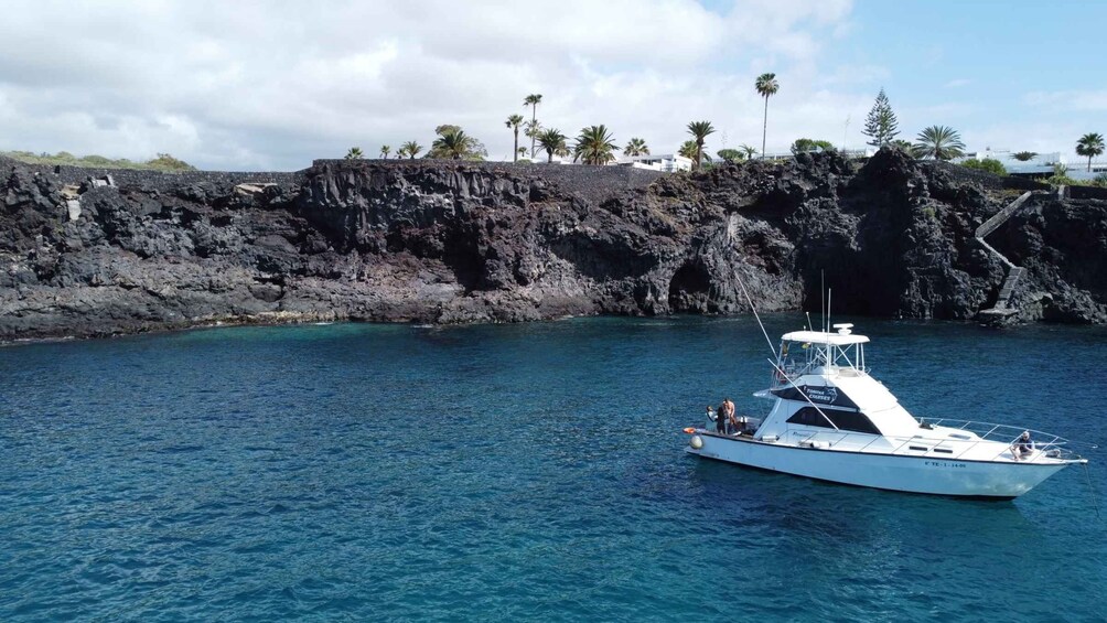 Picture 14 for Activity Las Galletas: Whale & Dolphin Tour with Local Skipper