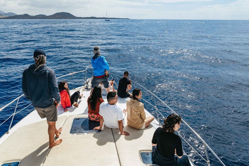 Picture 7 for Activity Las Galletas: Whale & Dolphin Tour with Local Skipper