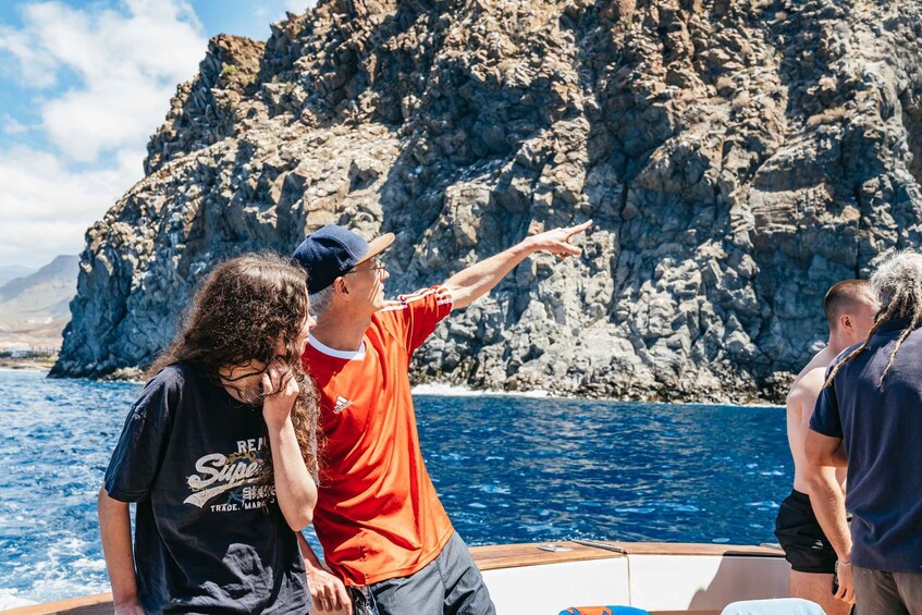Picture 9 for Activity Las Galletas: Whale & Dolphin Tour with Local Skipper