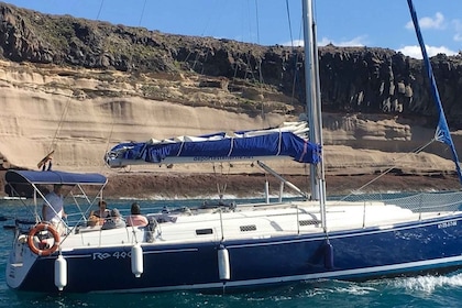 Tenerife : Excursion privée de luxe pour observer les baleines et les dauph...