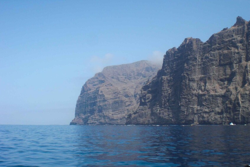 Picture 1 for Activity Tenerife: Luxury Private Whale & Dolphin Watching Tour