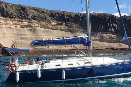 Tenerife: Excursión privada de lujo para avistar ballenas y delfines