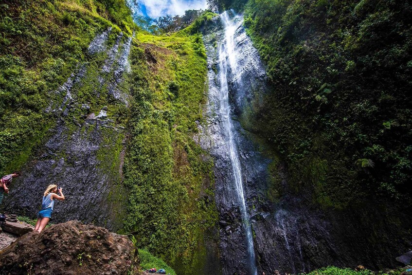 Picture 2 for Activity From Granada: Full-Day Trip to Ometepe Island