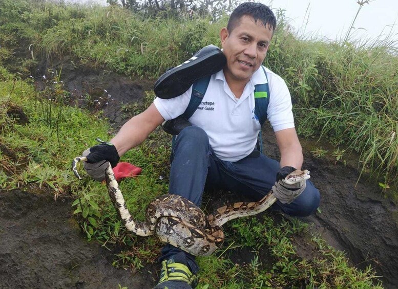 Picture 5 for Activity From Granada: Full-Day Trip to Ometepe Island