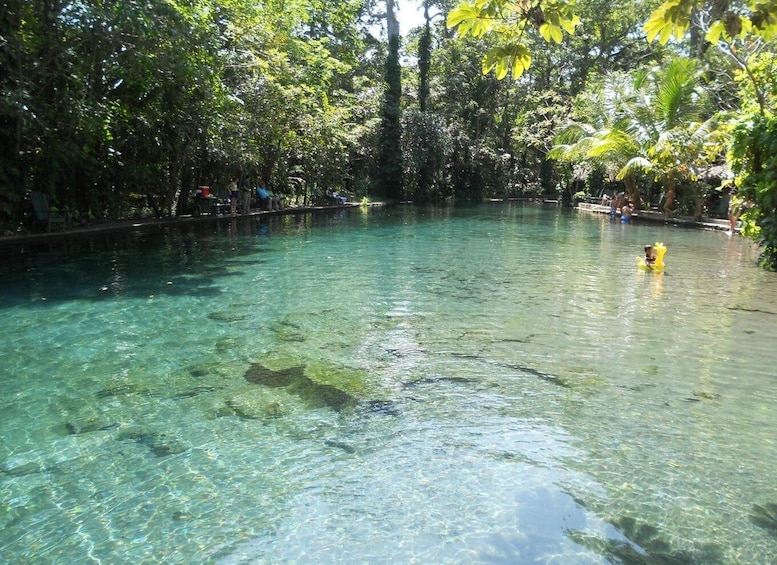 Picture 1 for Activity From Granada: Full-Day Trip to Ometepe Island