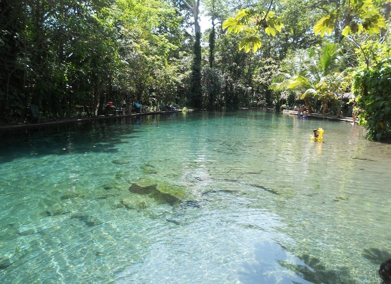 Picture 1 for Activity From Granada: Full-Day Trip to Ometepe Island