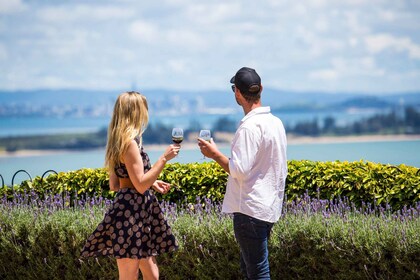 Waiheke Island : Visite privée des vins avec dégustations